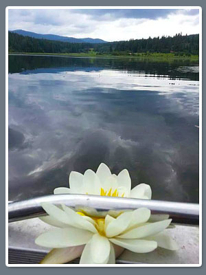 Boat and Lilly on Shephard Lake in Sagle, Idaho